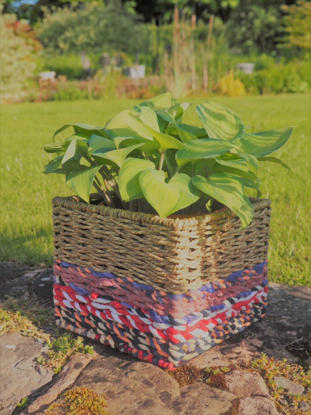 Munja And Reclaimed Sari Fabric Planter - Large - Image 7
