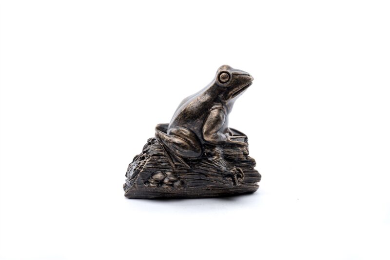 Frog On A Log Plant Drip Feeder Cover & Feed - Image 4