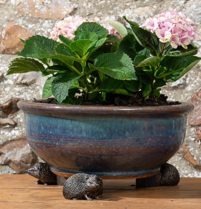 Hedgehog Plant Pot Feet - Set of 3