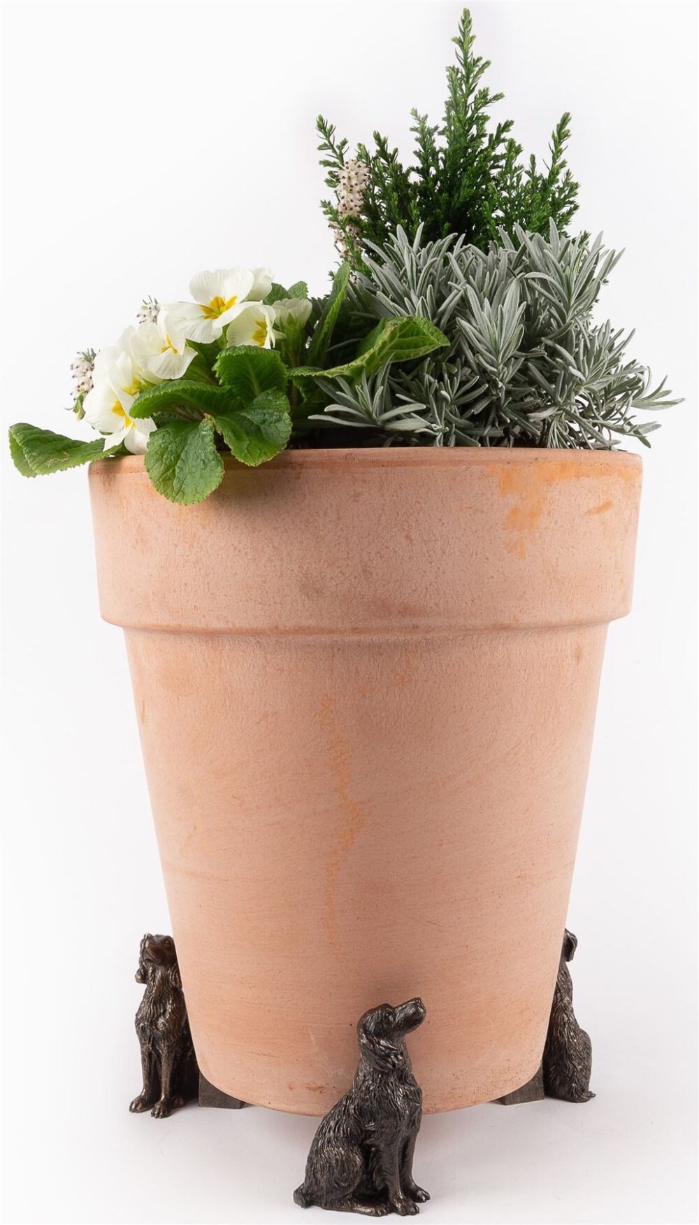 Springer Spaniel Plant Pot Feet - Set of 3 - Image 3