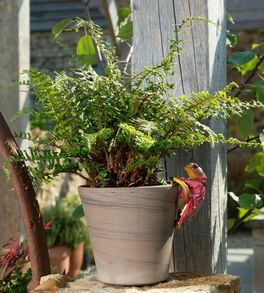 Beatrix Potter Mr. Jeremy Fisher Plant Pot Hanger - Image 5
