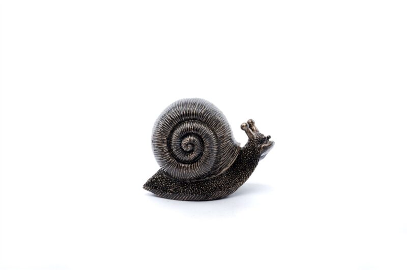 Snail Plant Drip Feeder Cover & Feed - Image 4