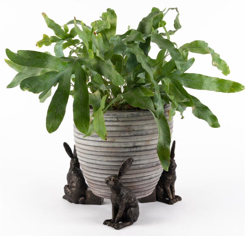 Vigilant Hare Plant Pot Feet - Set of 3 - Image 5