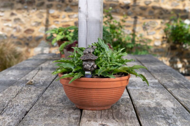 Mouse On Toadstool Plant Drip Feeder Cover & Feed