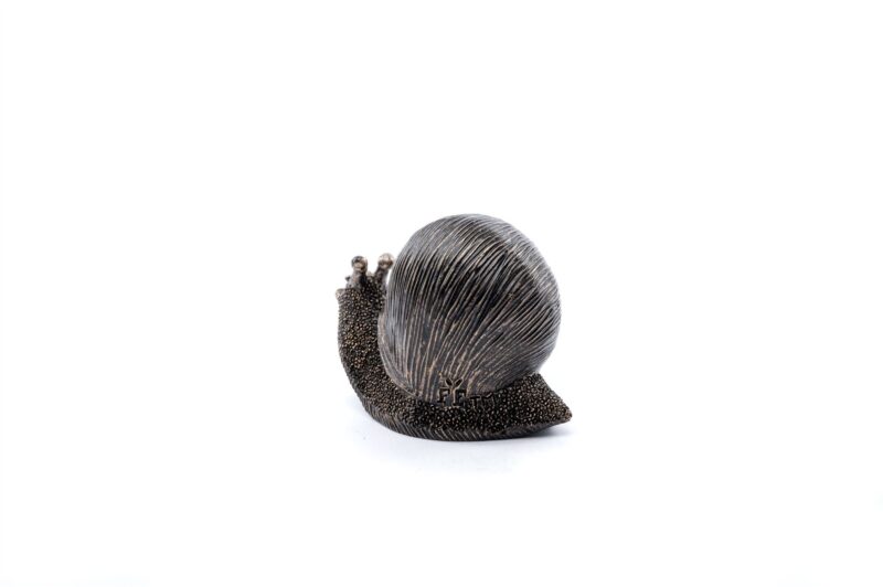 Snail Plant Drip Feeder Cover & Feed - Image 5