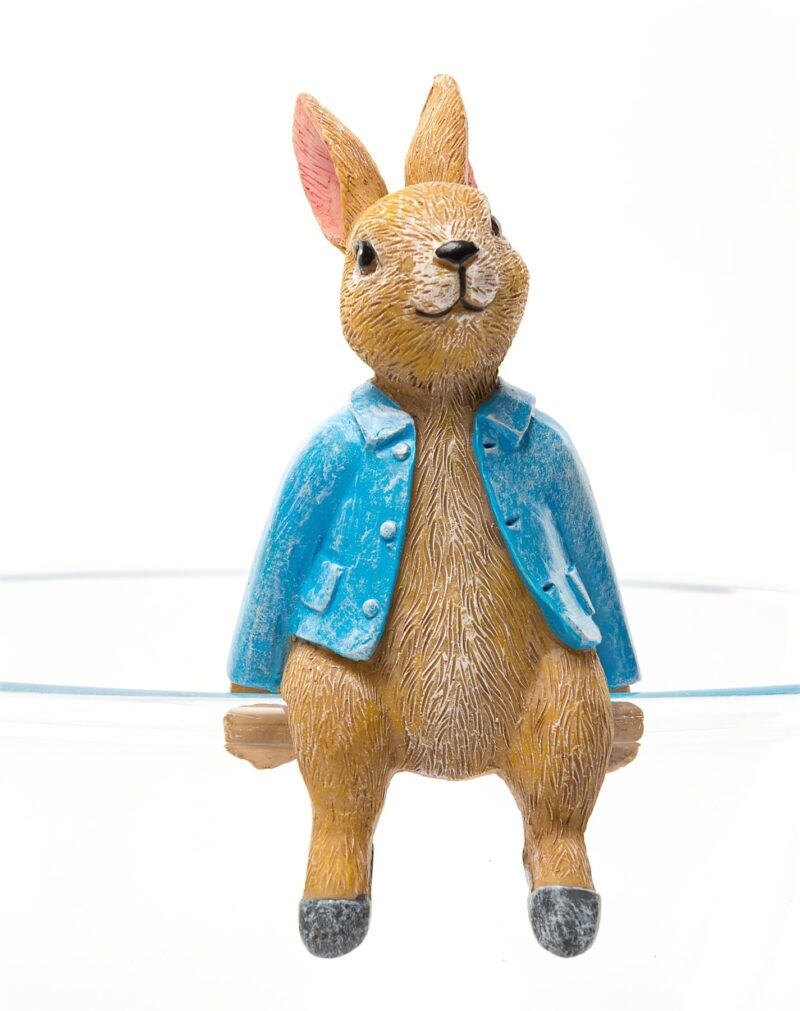 Beatrix Potter Peter Rabbit Sitting Plant Pot Hanger - Image 8