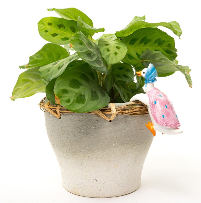 Beatrix Potter Jemima Puddle-Duck Plant Pot Hanger - Image 3