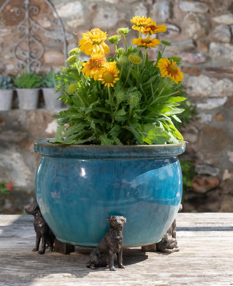 Border Terrier Plant Pot Feet - Set of 3 - Image 7