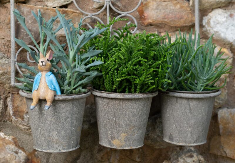 Beatrix Potter Peter Rabbit Sitting Plant Pot Hanger - Image 3