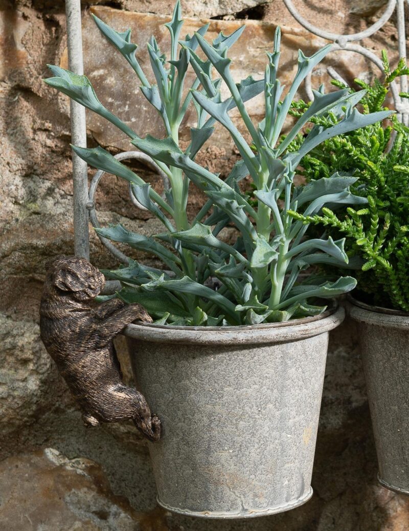 Pug Plant Pot Hanger - Image 9