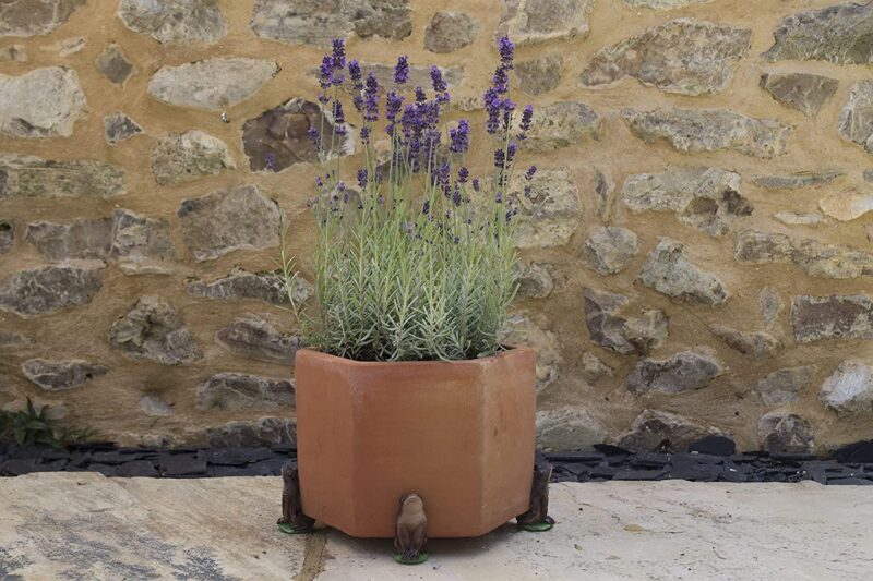 Brown Toad Plant Pot Feet - Set of 3 - Image 2