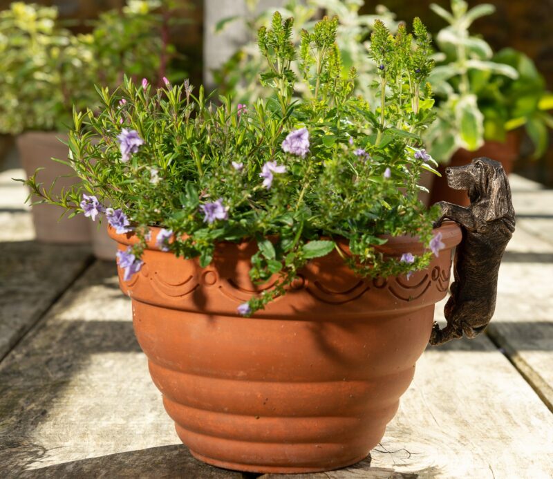 Basset Hound Plant Pot Hanger - Image 8