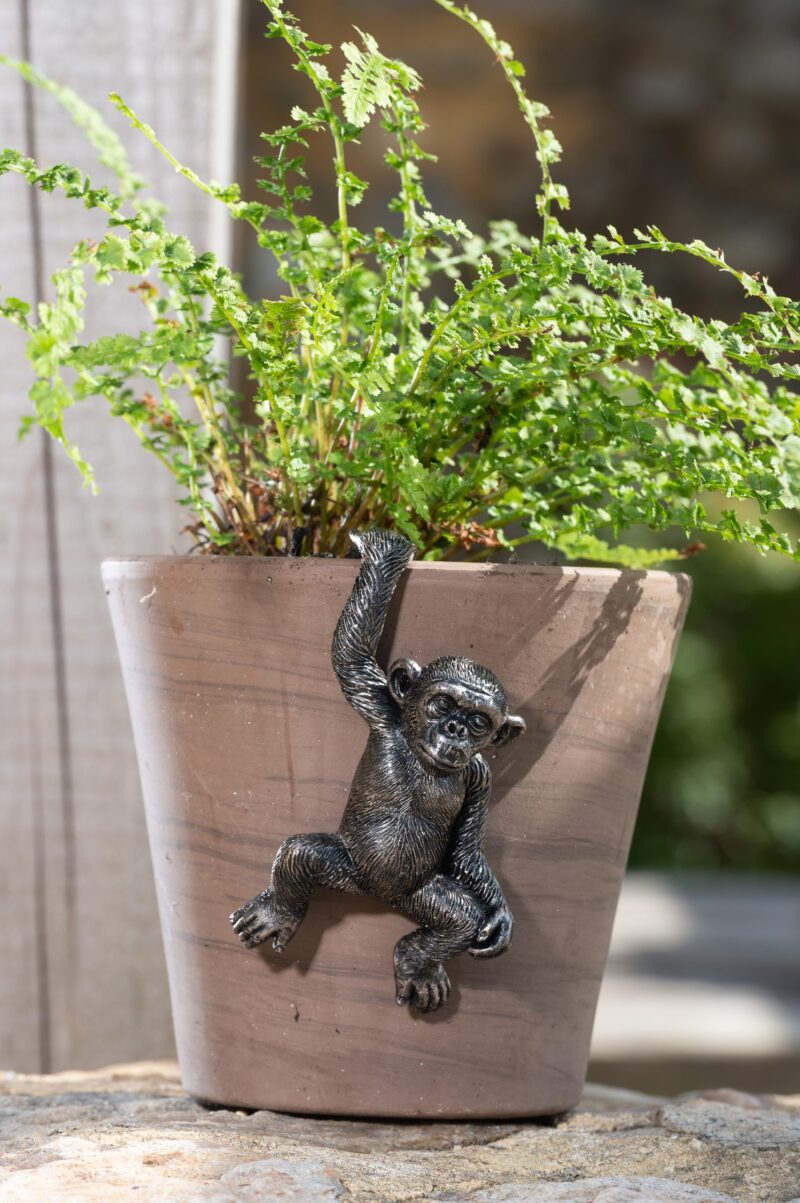 Chimpanzee Potty Feet and Pot Buddy - Image 9