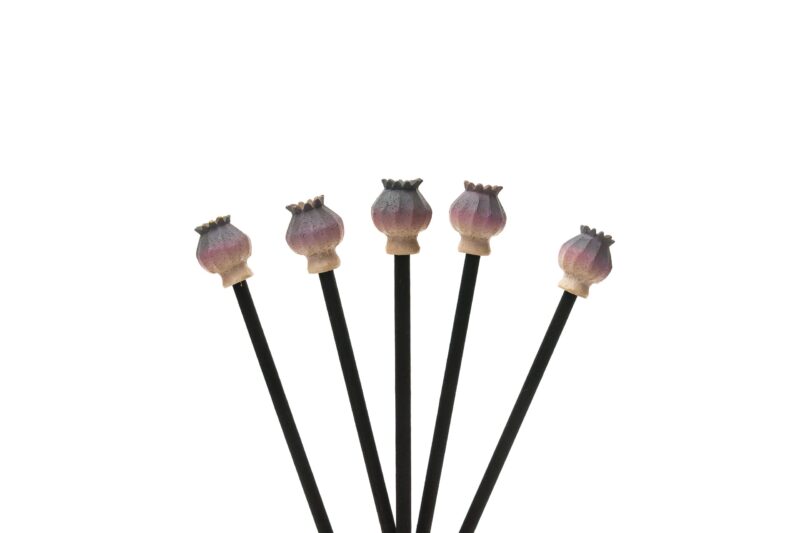 Poppy Seed Heads Diffuser Decor Reed Diffuser Decoration - Set of 5 - Image 4