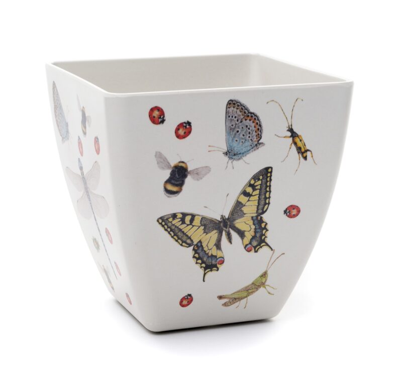 Iona Buchanan Insects Eco Pots Set of 3 With Tray - Gift Packaged - Image 4