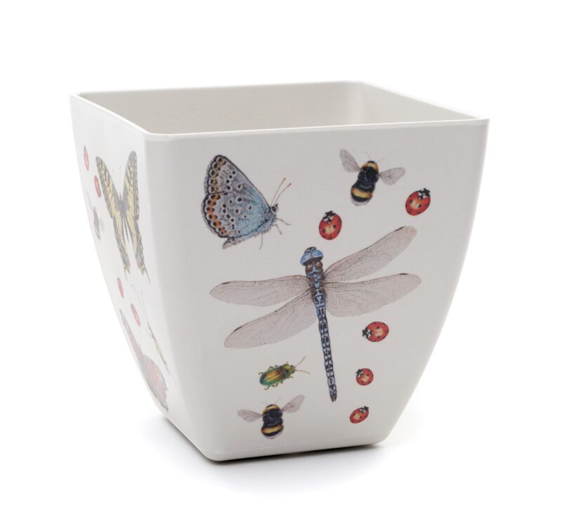 Iona Buchanan Insects Eco Pots Set of 3 With Tray - Gift Packaged - Image 3