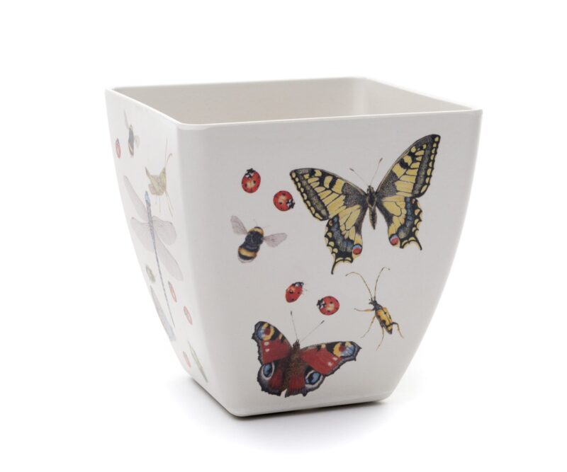 Iona Buchanan Insects Eco Pots Set of 3 With Tray - Gift Packaged - Image 2