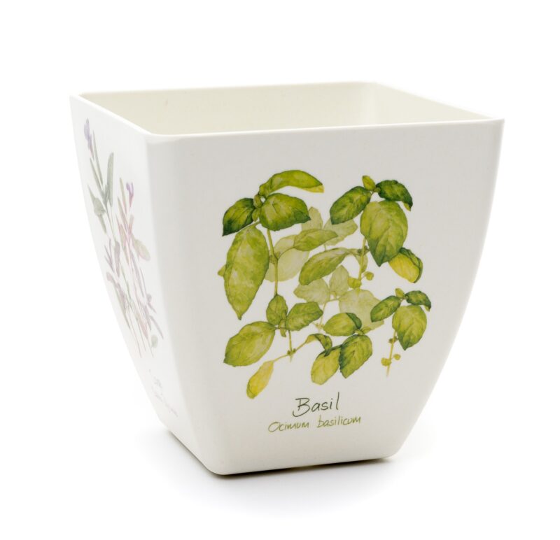 Iona Buchanan Herbs Eco Pots Set of 3 With Tray - Gift Packaged - Image 6