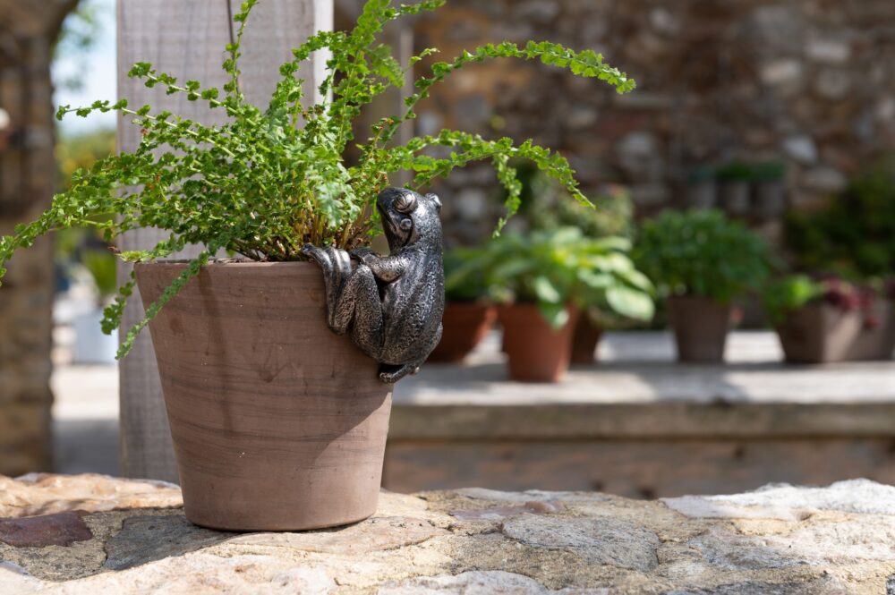 Frog Potty Feet and Pot Buddy Bundle Set - Image 6