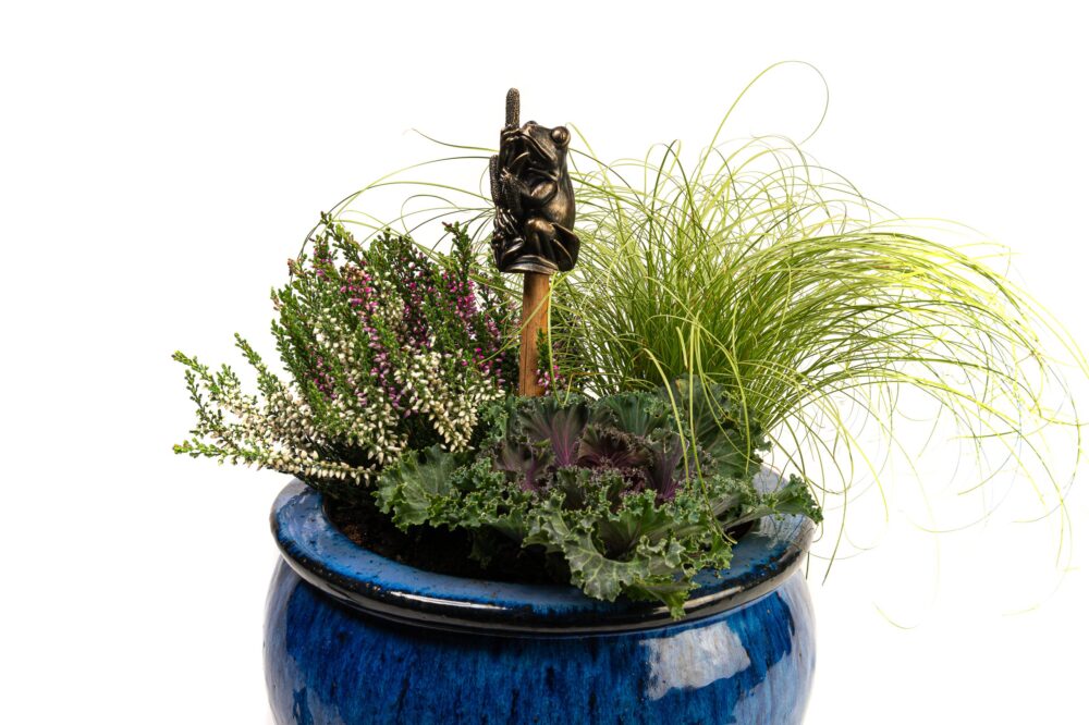 Frog Potty Feet and Pot Buddy and Cane Companion - Image 4