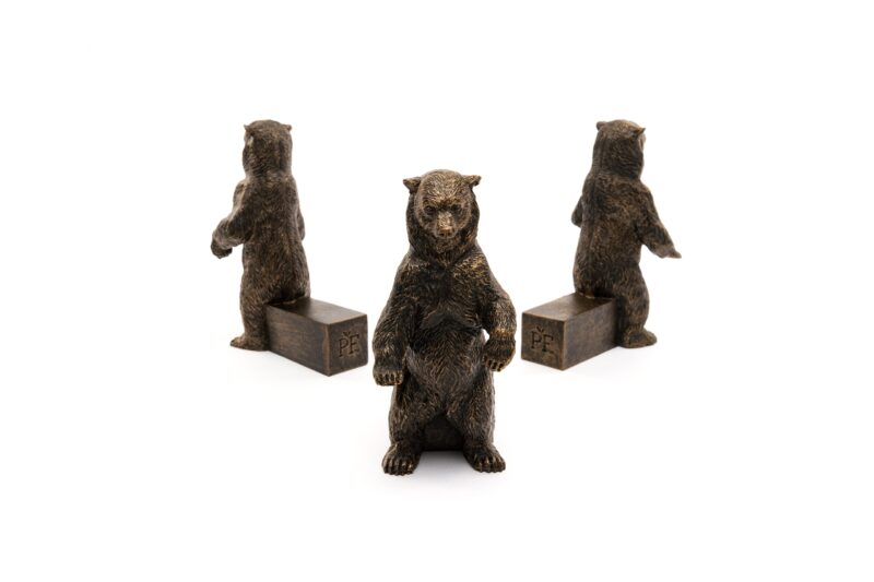 Bear Potty Feet and Pot Buddy Bundle Set - Image 5