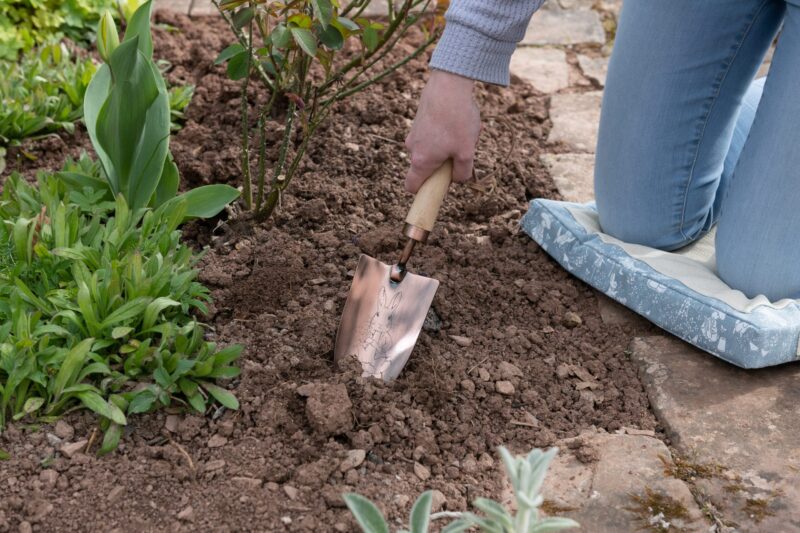 Beatrix Potter Peter Rabbit Gardening Trowel - Image 2