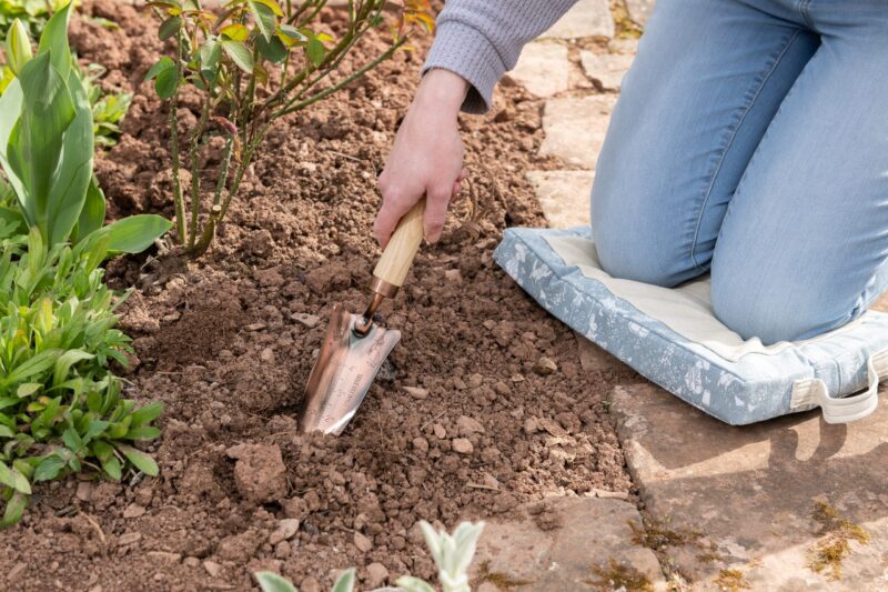 Beatrix Potter Peter Rabbit Gardening Transplanter - Image 2