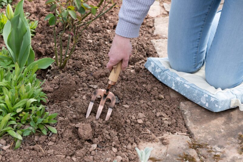 Beatrix Potter Peter Rabbit Gardening Hand Fork - Image 2