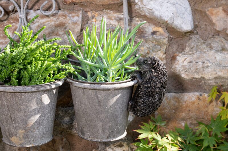 Hedgehog Potty Feet and Pot Buddy and Cane Companion Bundle Set - Image 12