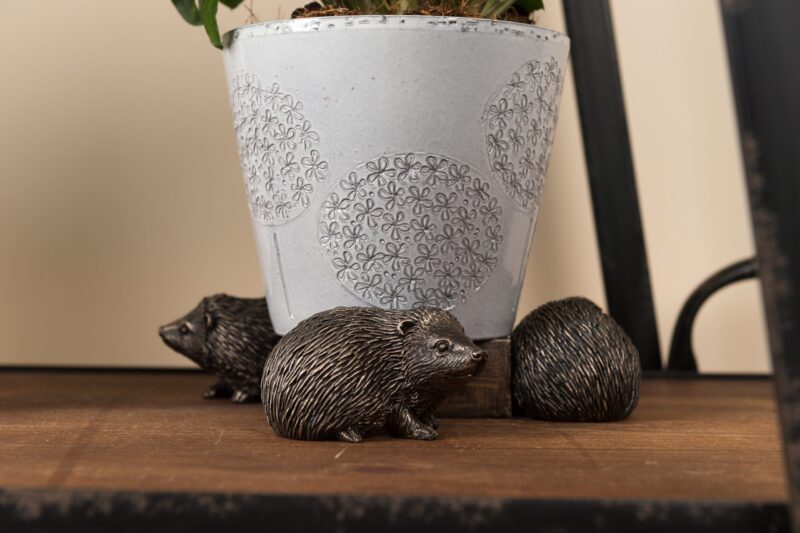 Hedgehog Potty Feet and Pot Buddy - Image 5