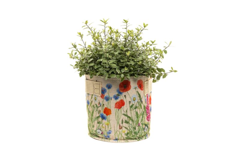 Iona Buchanan Meadow Fabric Eco Pots - 23L - Cream