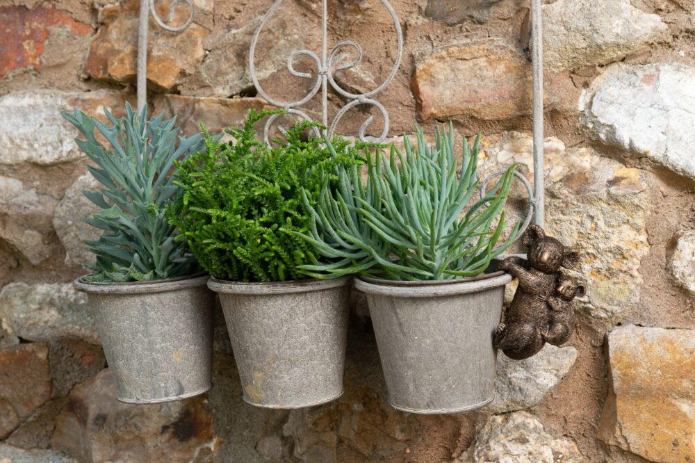 Koala Potty Feet and Pot Buddy - Image 9