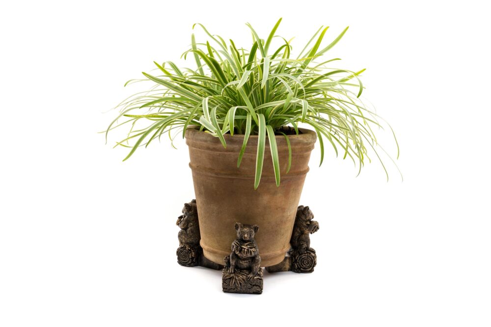 Koala Potty Feet and Pot Buddy - Image 2