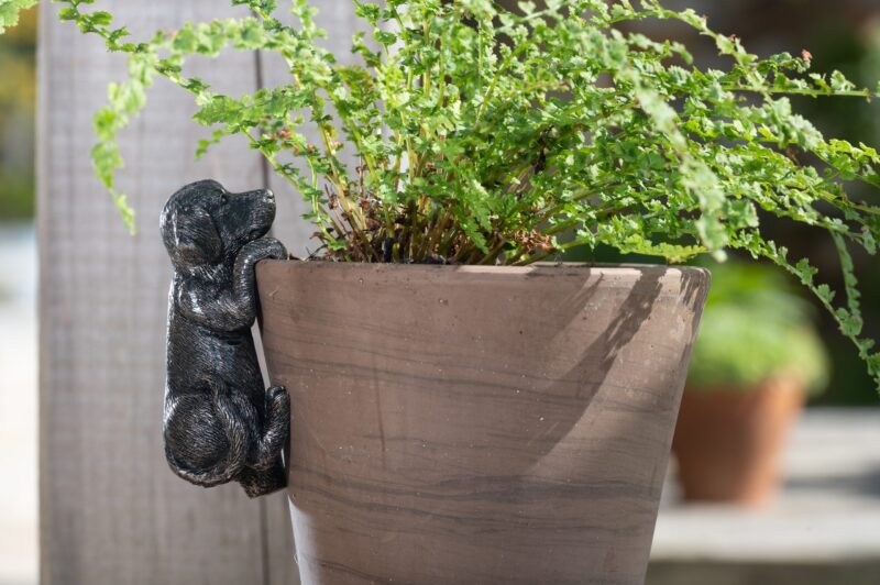 Labrador Potty Feet, Pot Buddy - Image 10