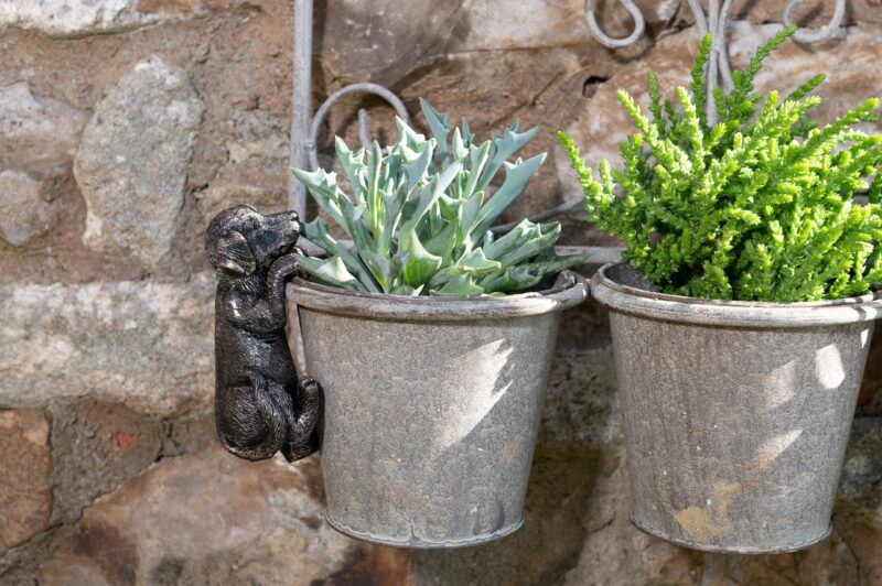 Labrador Potty Feet, Pot Buddy - Image 9