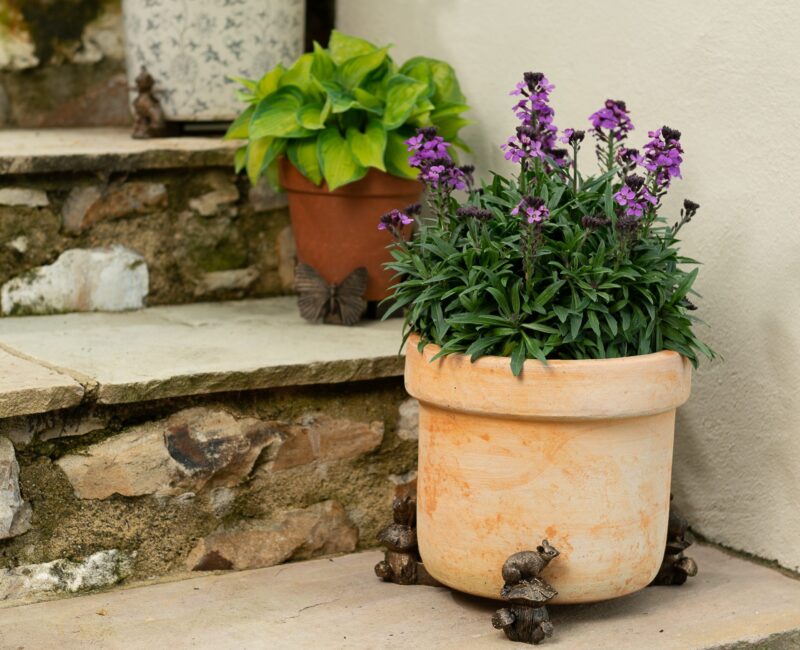 Mouse on Mushroom Plant Pot Feet - Set of 3 - Image 6