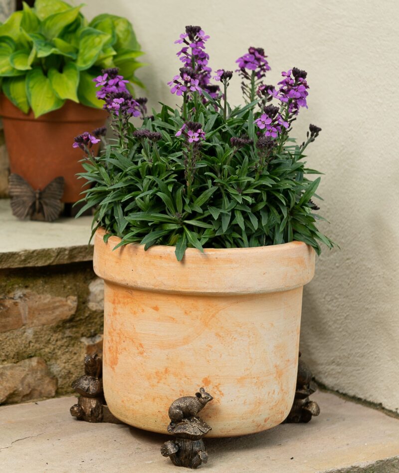 Mouse on Mushroom Plant Pot Feet - Set of 3 - Image 5