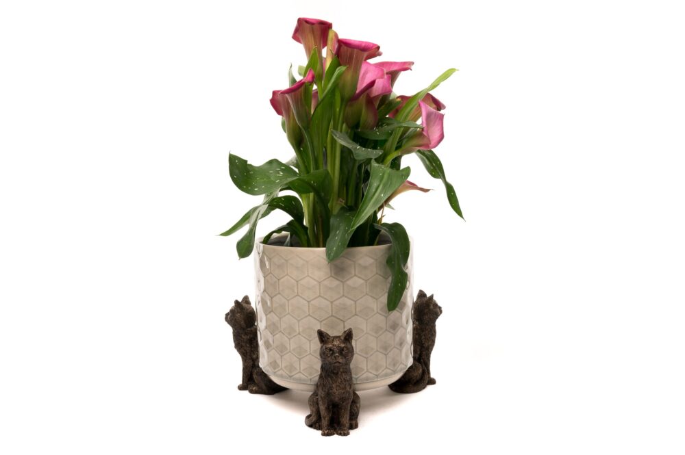 Cat Potty Feet and Pot Buddy & Cane Companion Bundle Set - Image 10