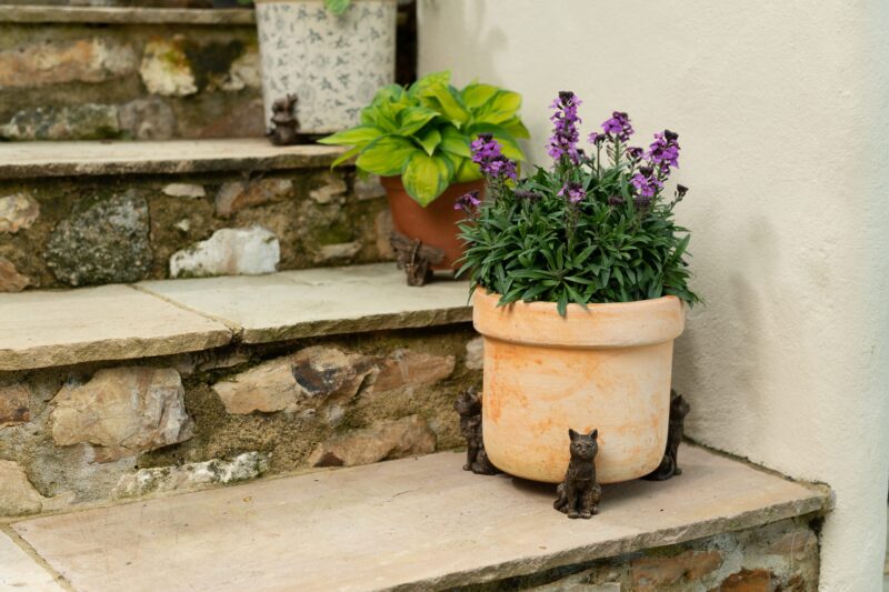 Cat Potty Feet and Pot Buddy Bundle Set - Image 9