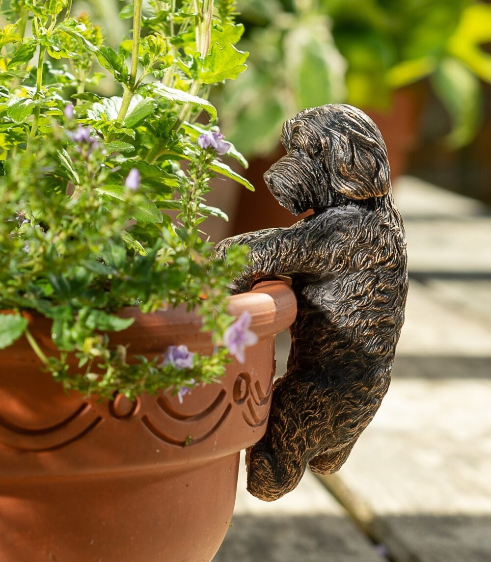 Antique Bronze Coloured Cockapoo Pot Buddy Plant Pot Hanger - Image 9