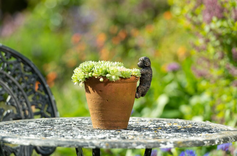 Antique Bronze Coloured Cockapoo Pot Buddy Plant Pot Hanger - Image 2