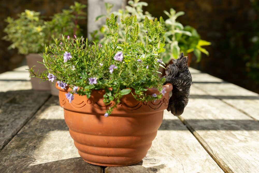 Antique Bronze Coloured Scottish Terrier Pot Buddy Pot Hanger - Image 10