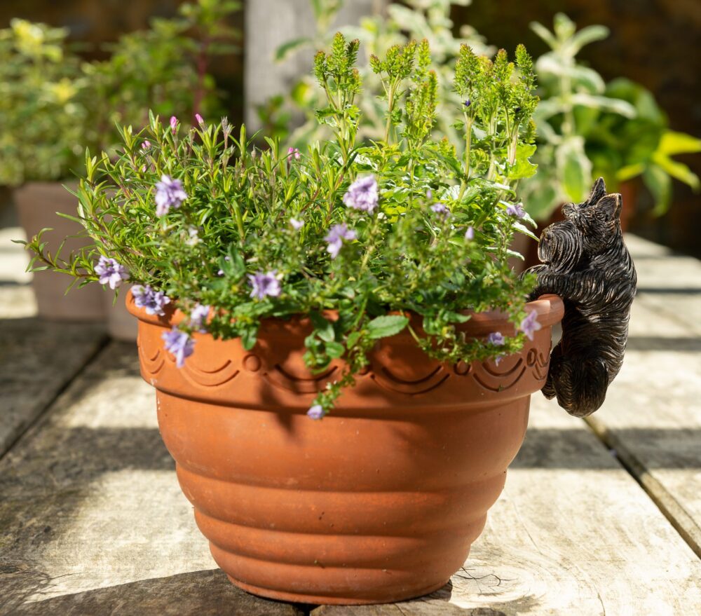Antique Bronze Coloured Scottish Terrier Pot Buddy Pot Hanger - Image 7