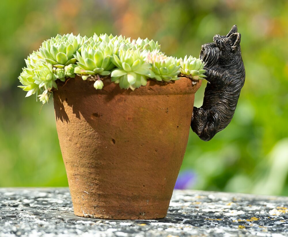 Antique Bronze Coloured Scottish Terrier Pot Buddy Pot Hanger - Image 6
