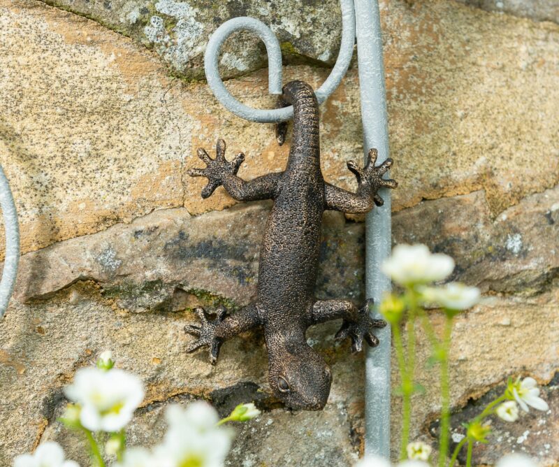 Antique Bronze Coloured Gecko Pot Buddy Plant Pot Hanger - Image 12