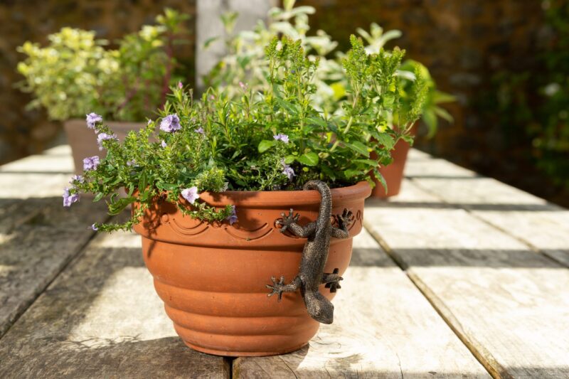 Antique Bronze Coloured Gecko Pot Buddy Plant Pot Hanger - Image 11