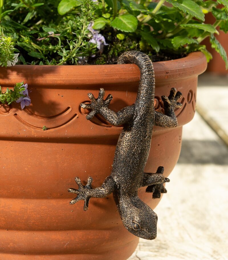 Antique Bronze Coloured Gecko Pot Buddy Plant Pot Hanger