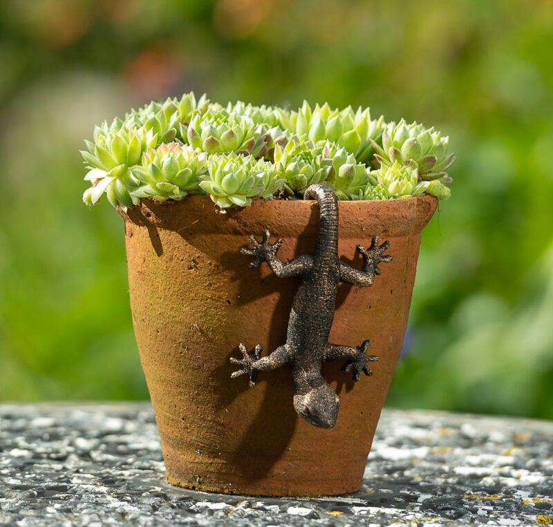 Antique Bronze Coloured Gecko Pot Buddy Plant Pot Hanger - Image 6