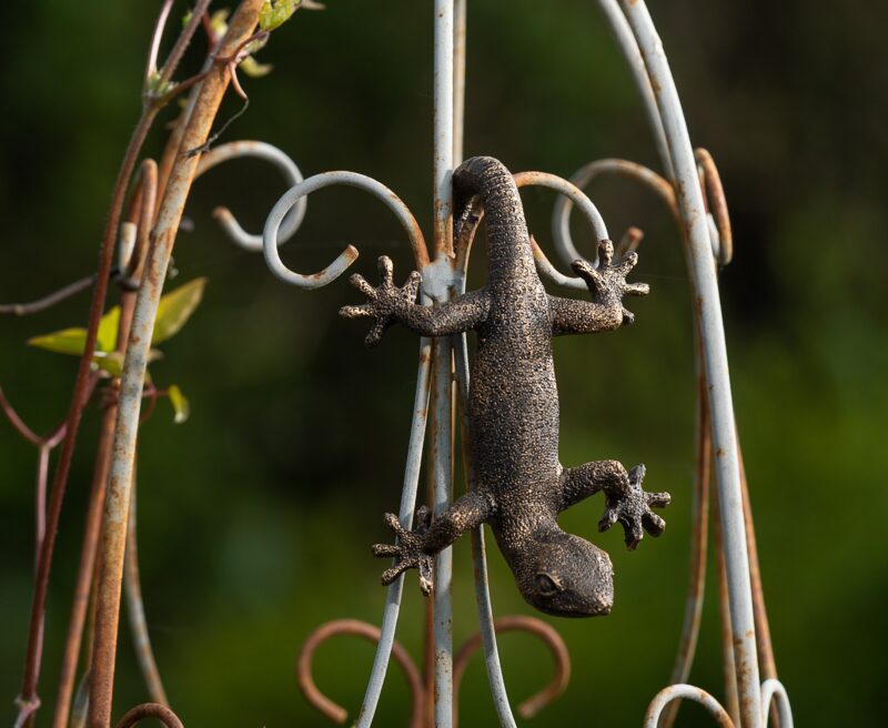 Antique Bronze Coloured Gecko Pot Buddy Plant Pot Hanger - Image 5