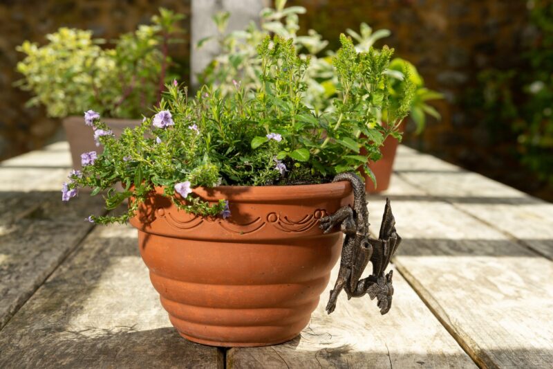 Antique Bronze Coloured Dragon Pot Buddy Plant Pot Hanger - Image 4